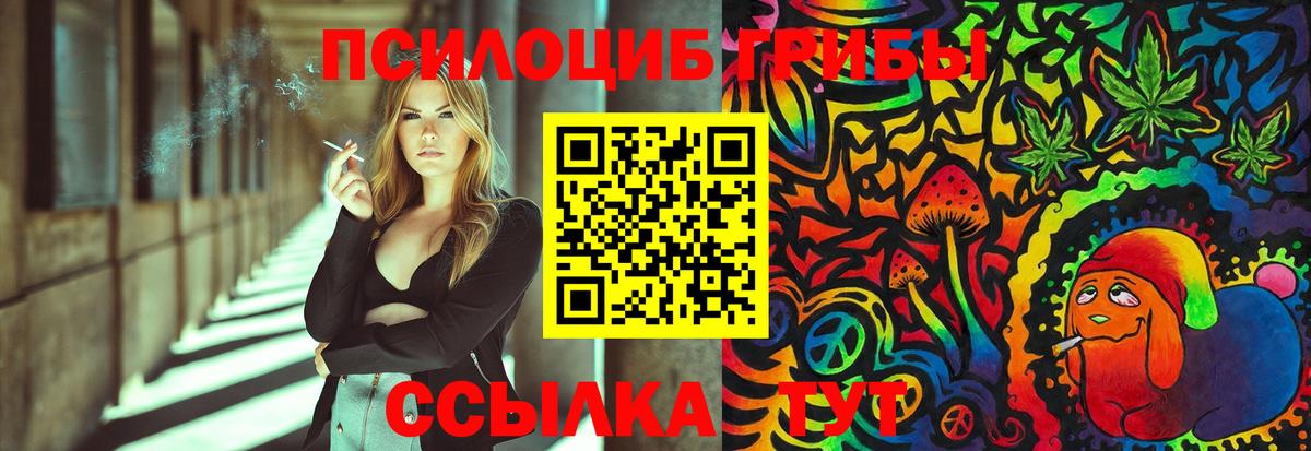 Кыштым  Псилоцибиновые грибы Magic Shrooms  Вход с VPN 